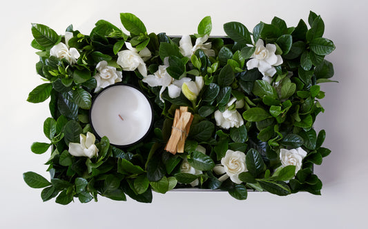Extending the Life of the Gardenia