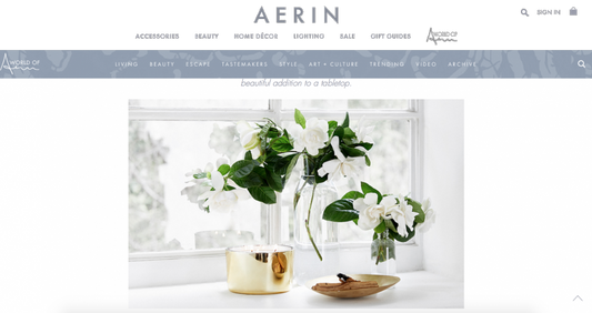 HIGH CAMP SUPPLY FEATURED ON WORLD OF AERIN