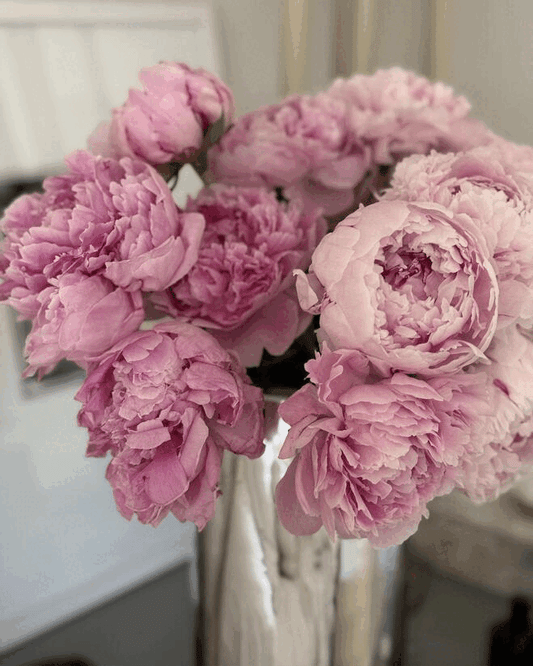 THE GIFT OF LOVE