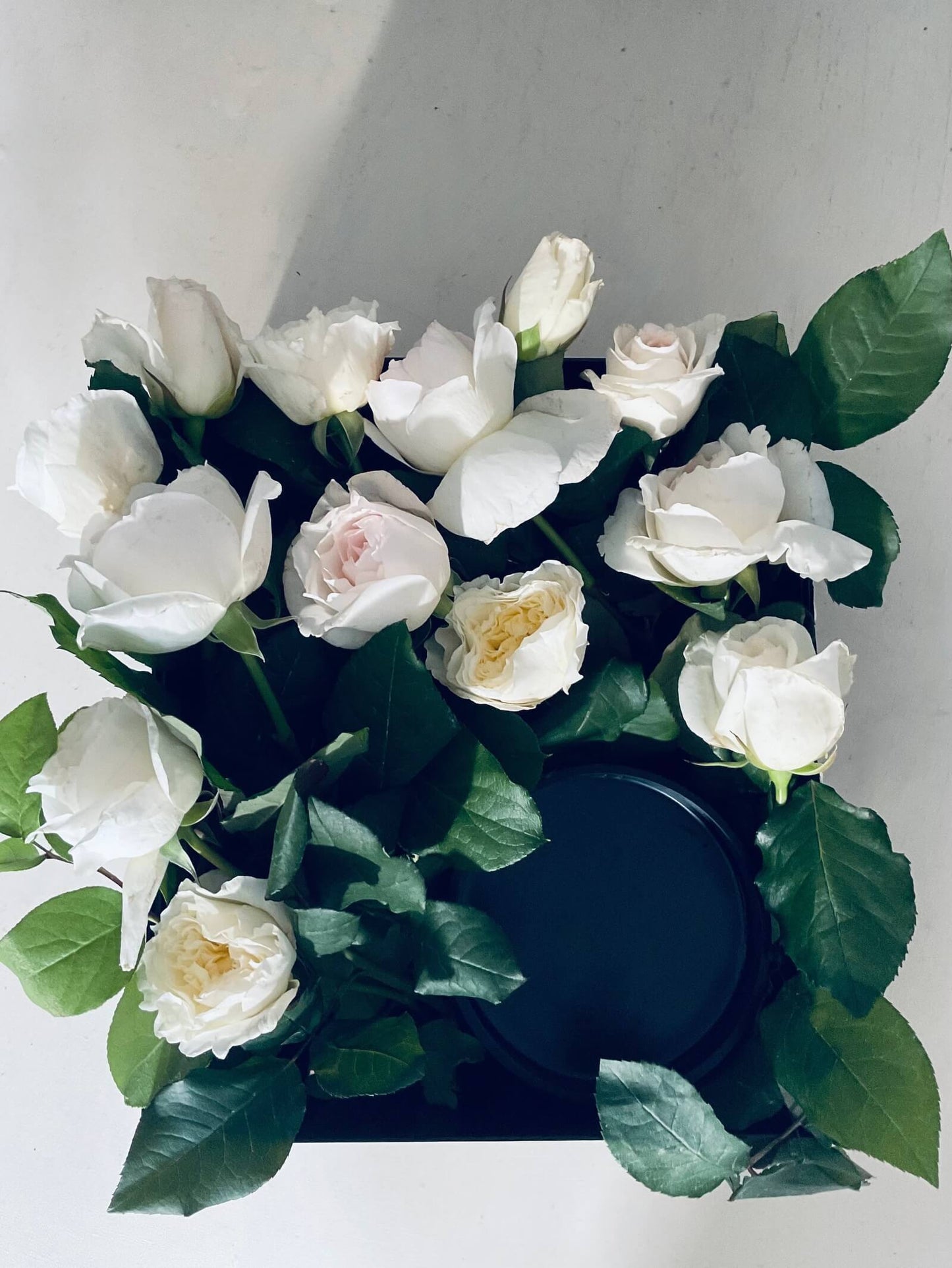 La Vie En Rose Icon Low