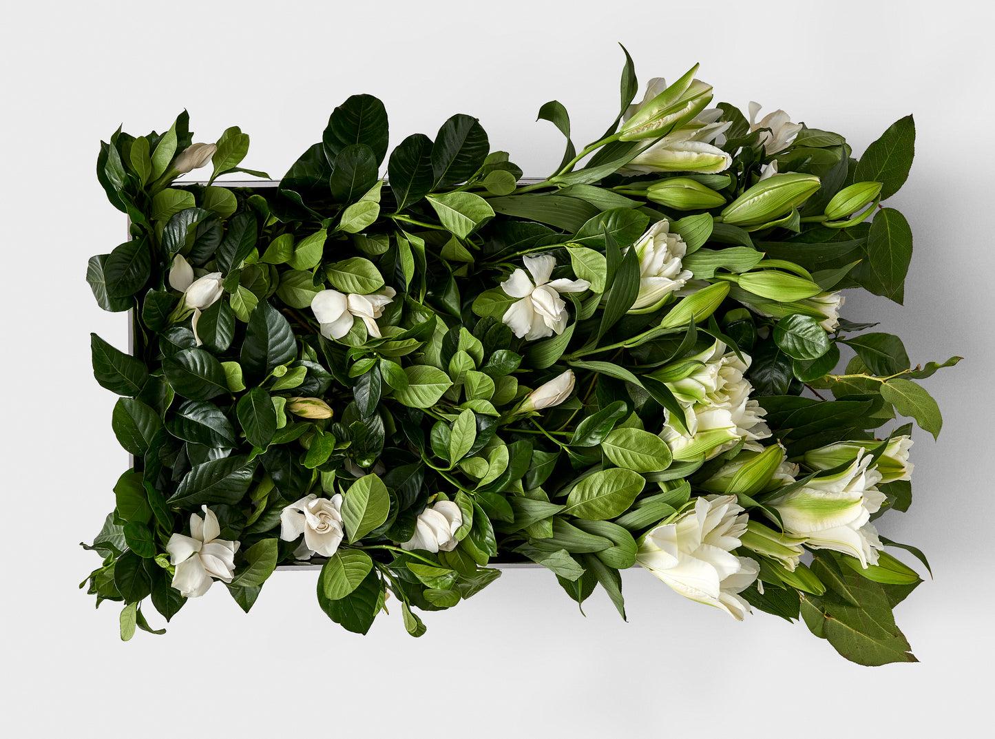 Roman Holiday Studio Grande Vine & Bloom Box