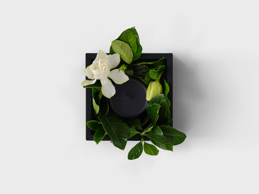 The Muse Vine & Bloom Candle Box