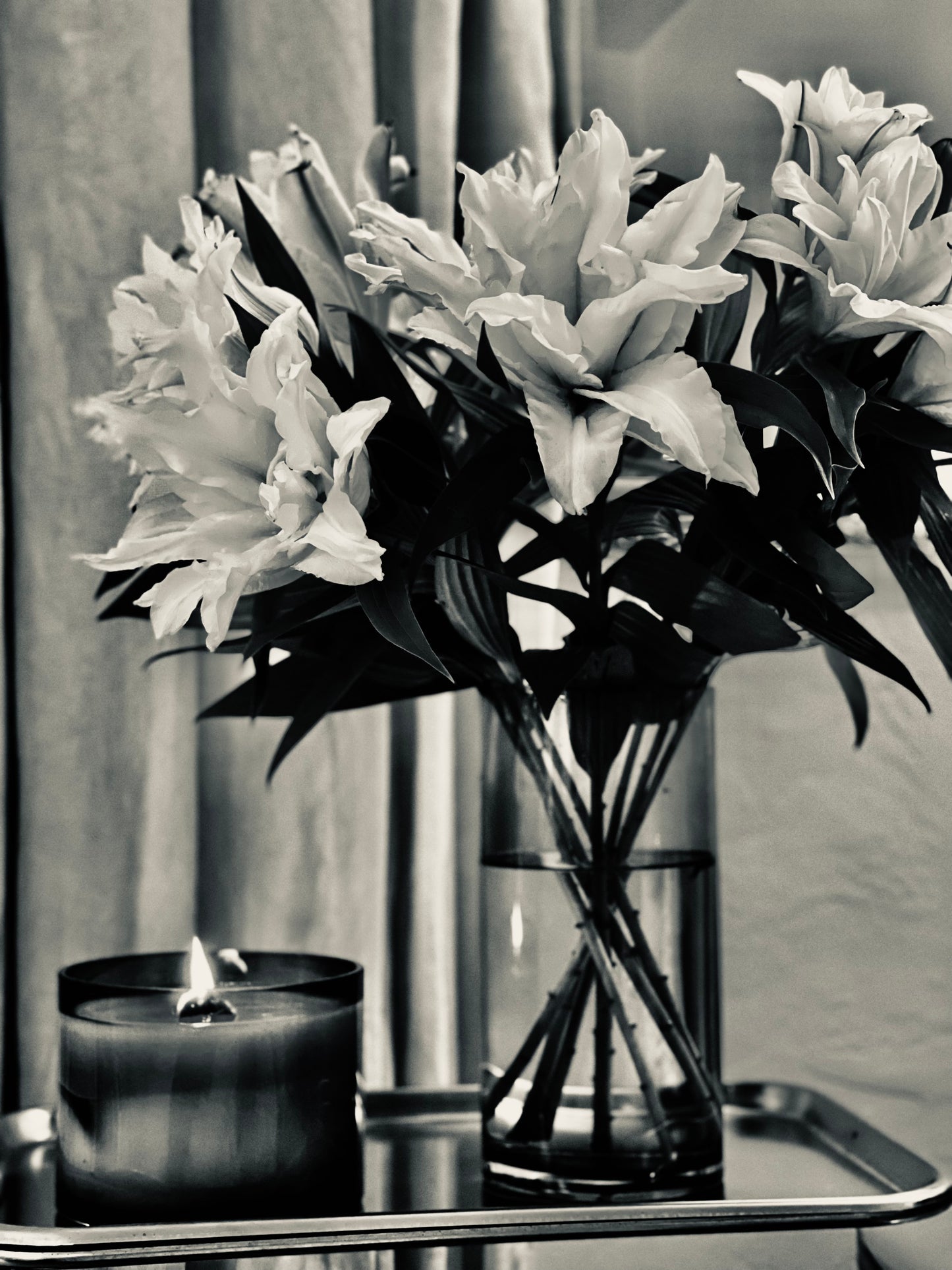 Roman Holiday Studio Grande Vine & Bloom Box