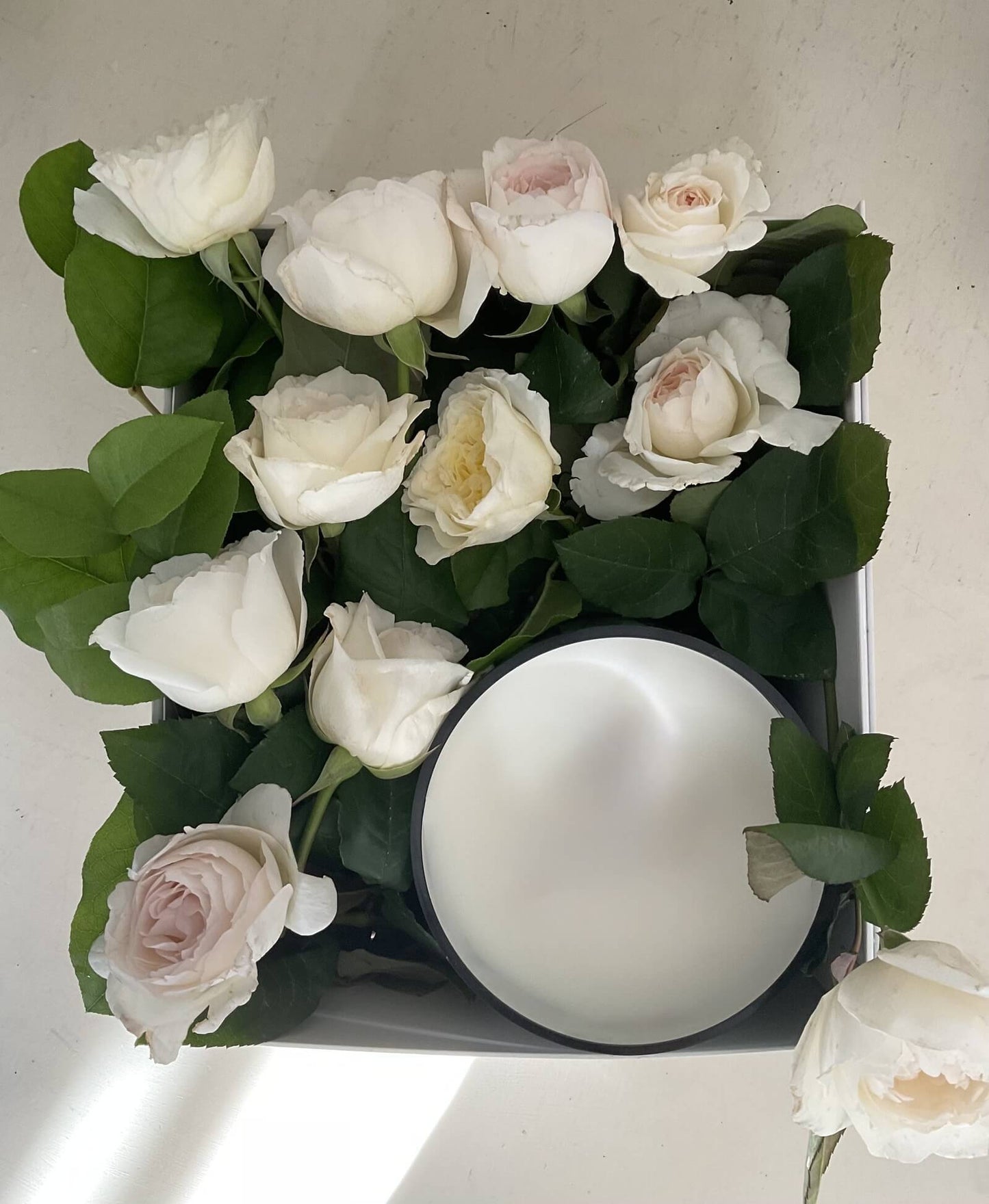 La Vie En Rose Icon Low