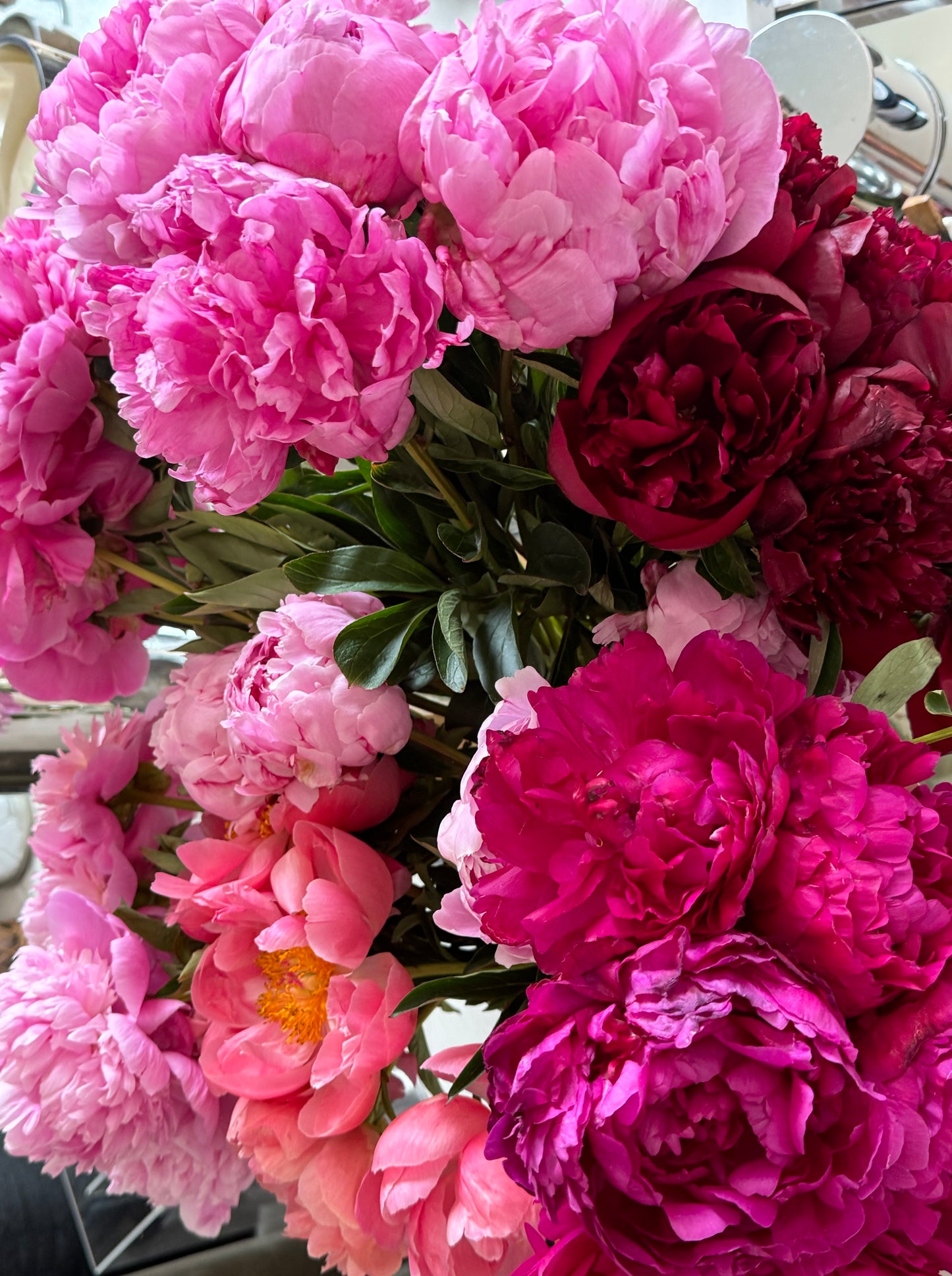 Peony Grand Prix Vine & Bloom