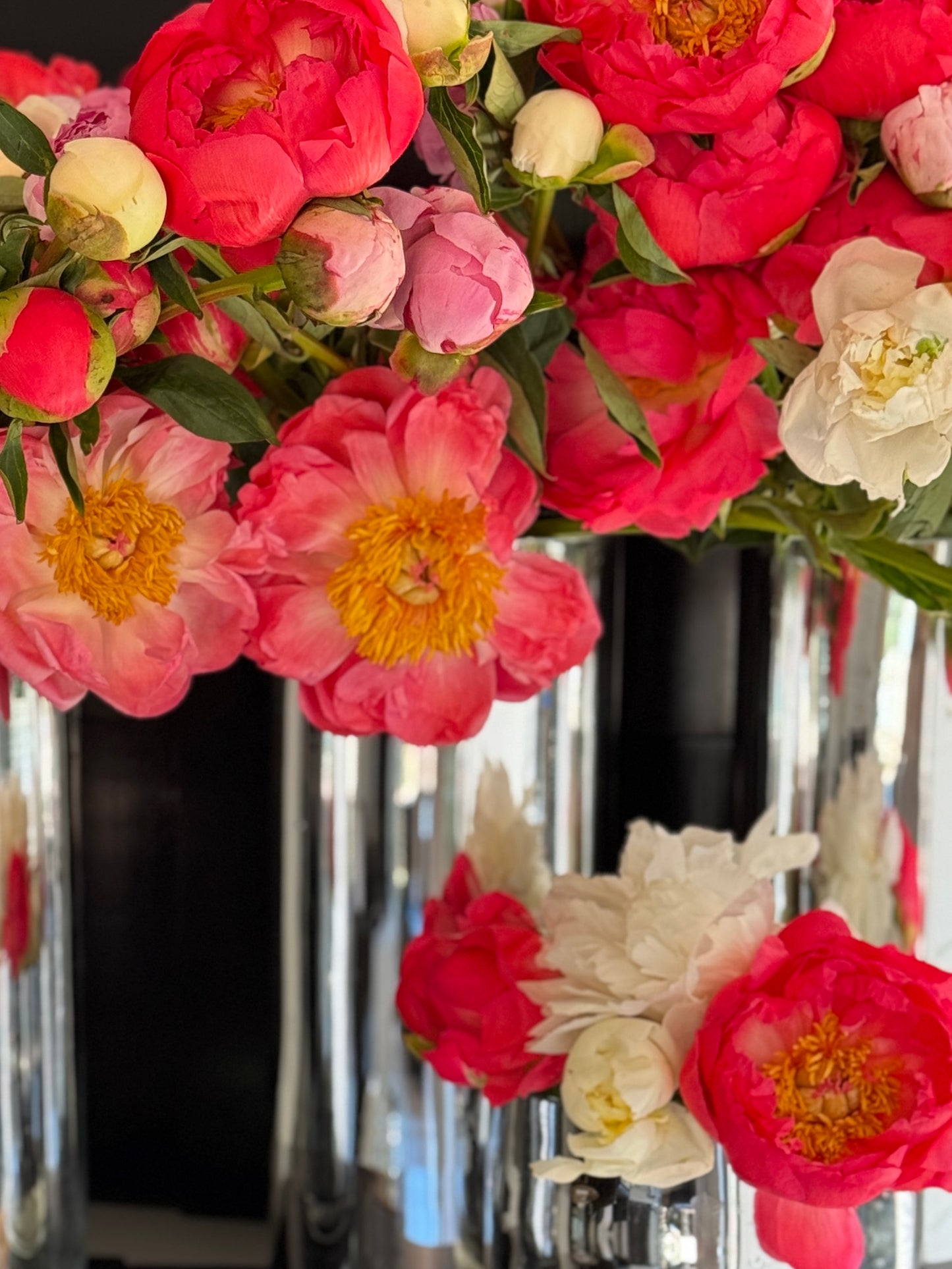 Peony Grand Prix Vine & Bloom