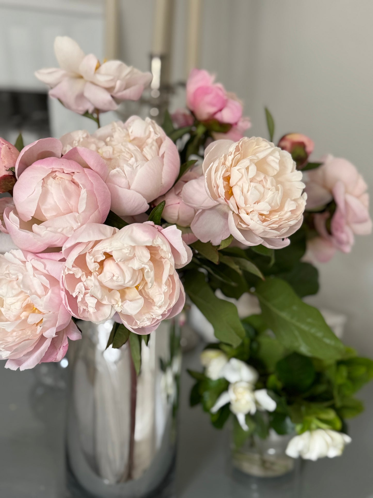 Bellissima Peony Vine and Bloom