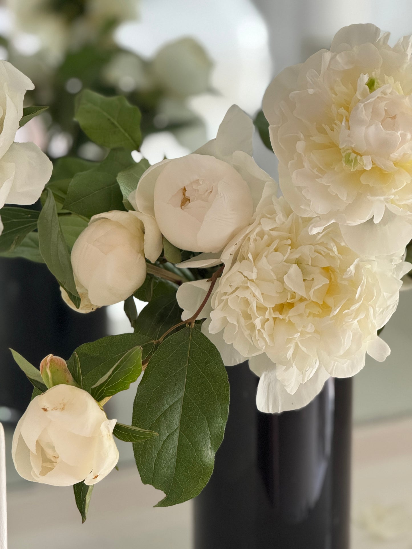 Bellissima Peony Vine and Bloom Box