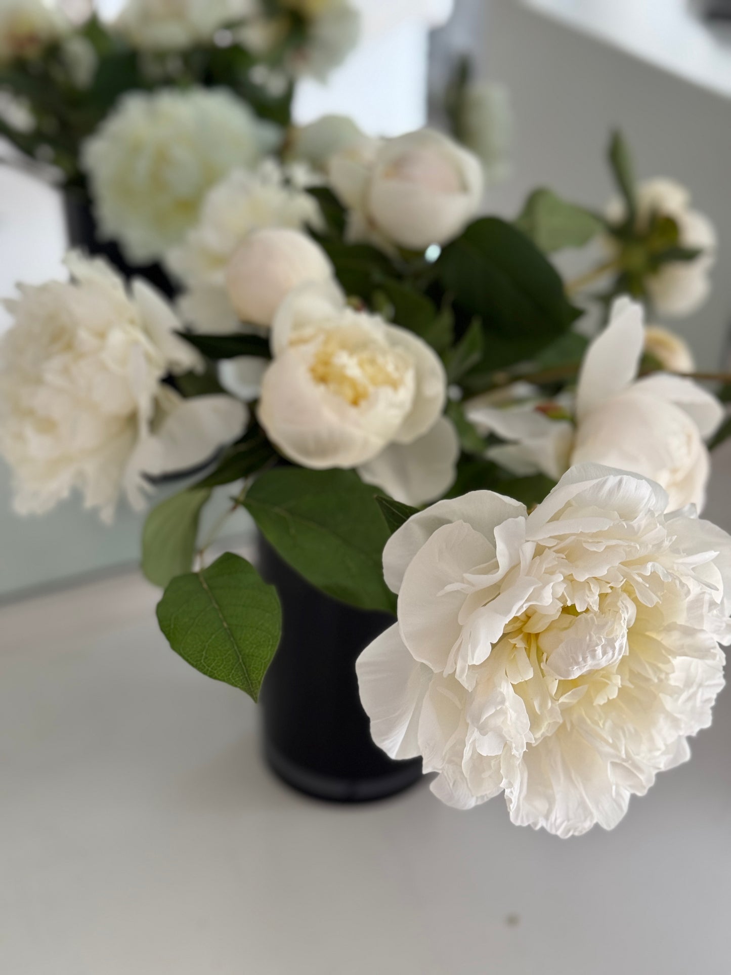 Bellissima Peony Vine and Bloom