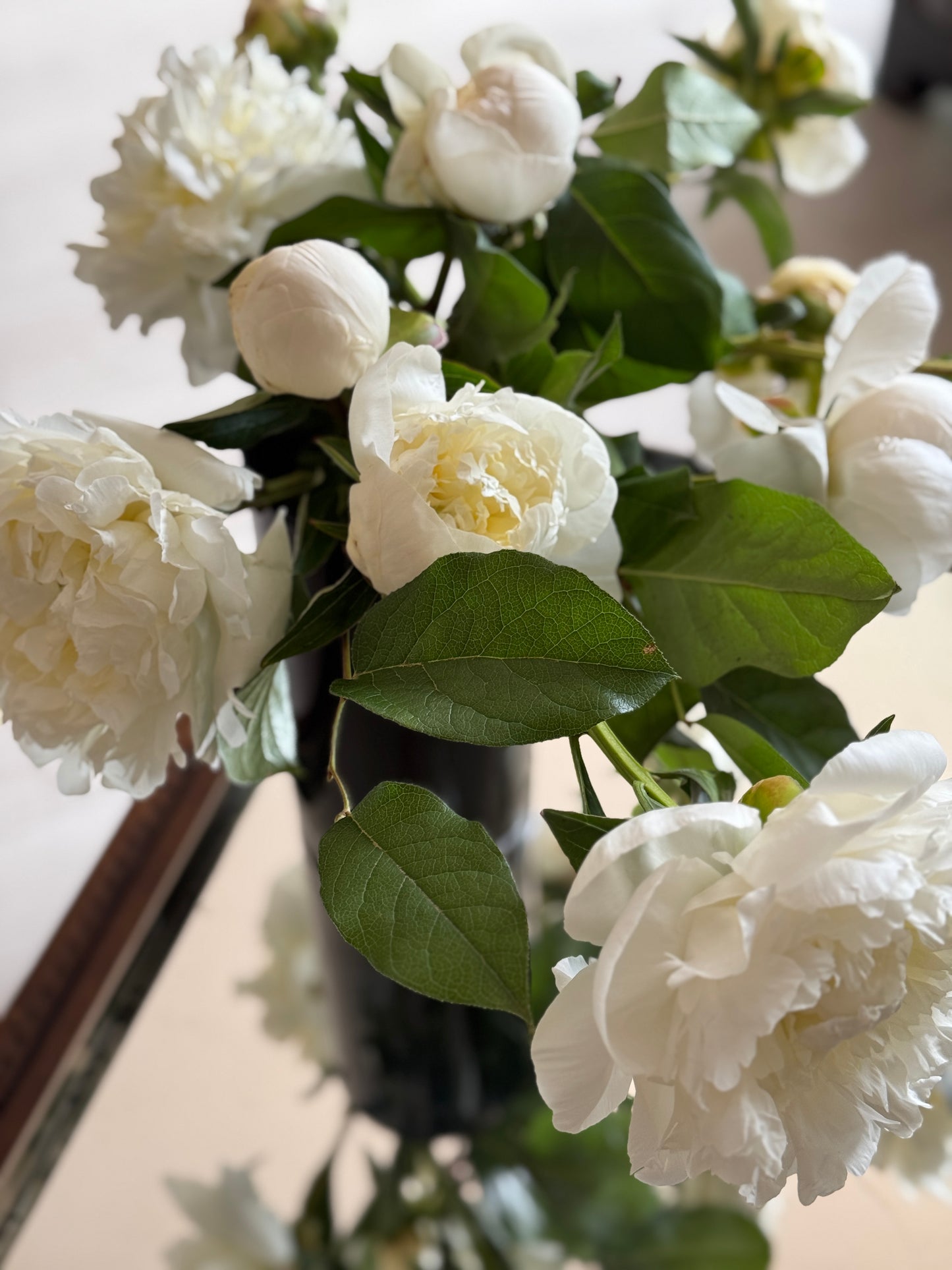 Bellissima Peony Vine and Bloom Box