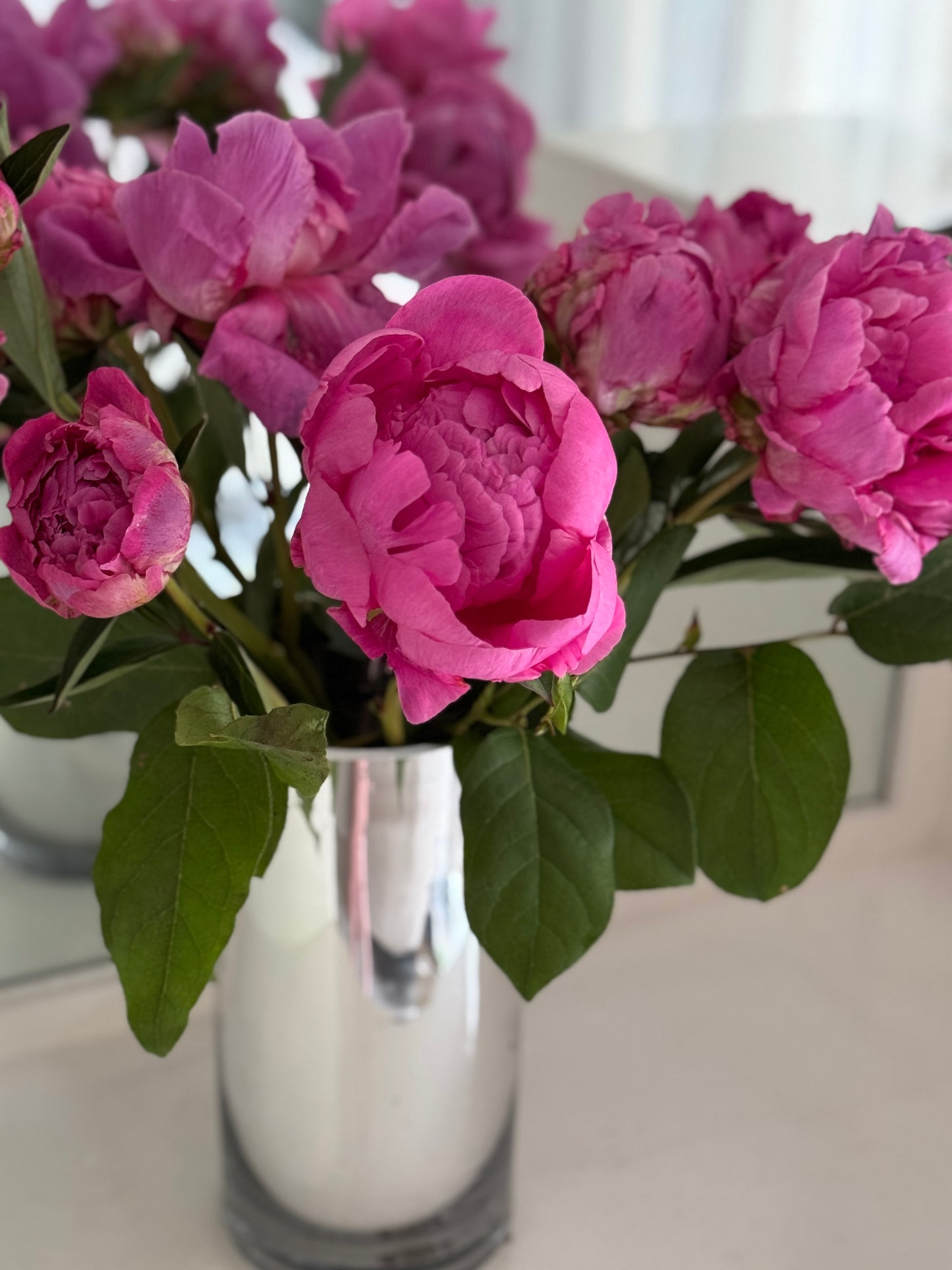 Bellissima Peony Vine and Bloom