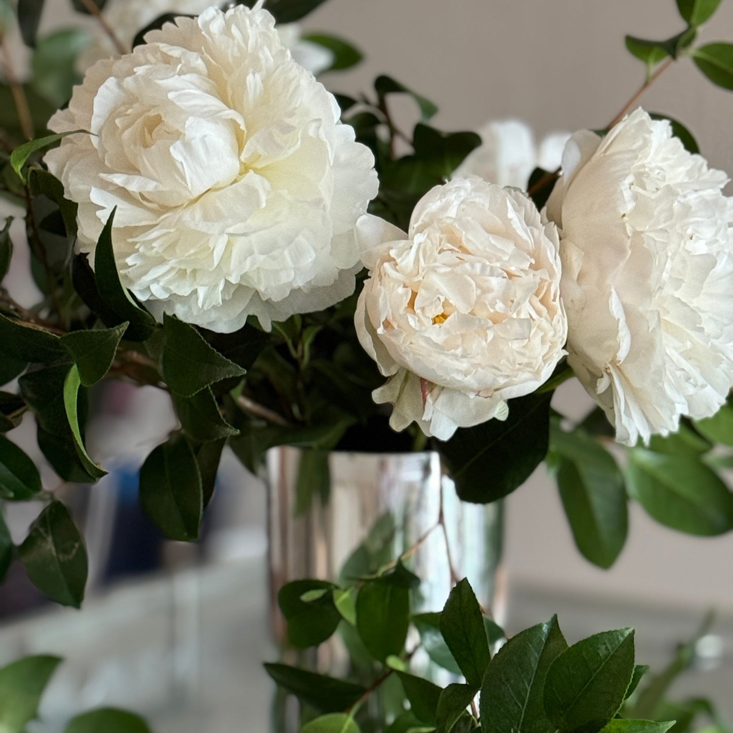 Summer Peony Vine & Bloom Box
