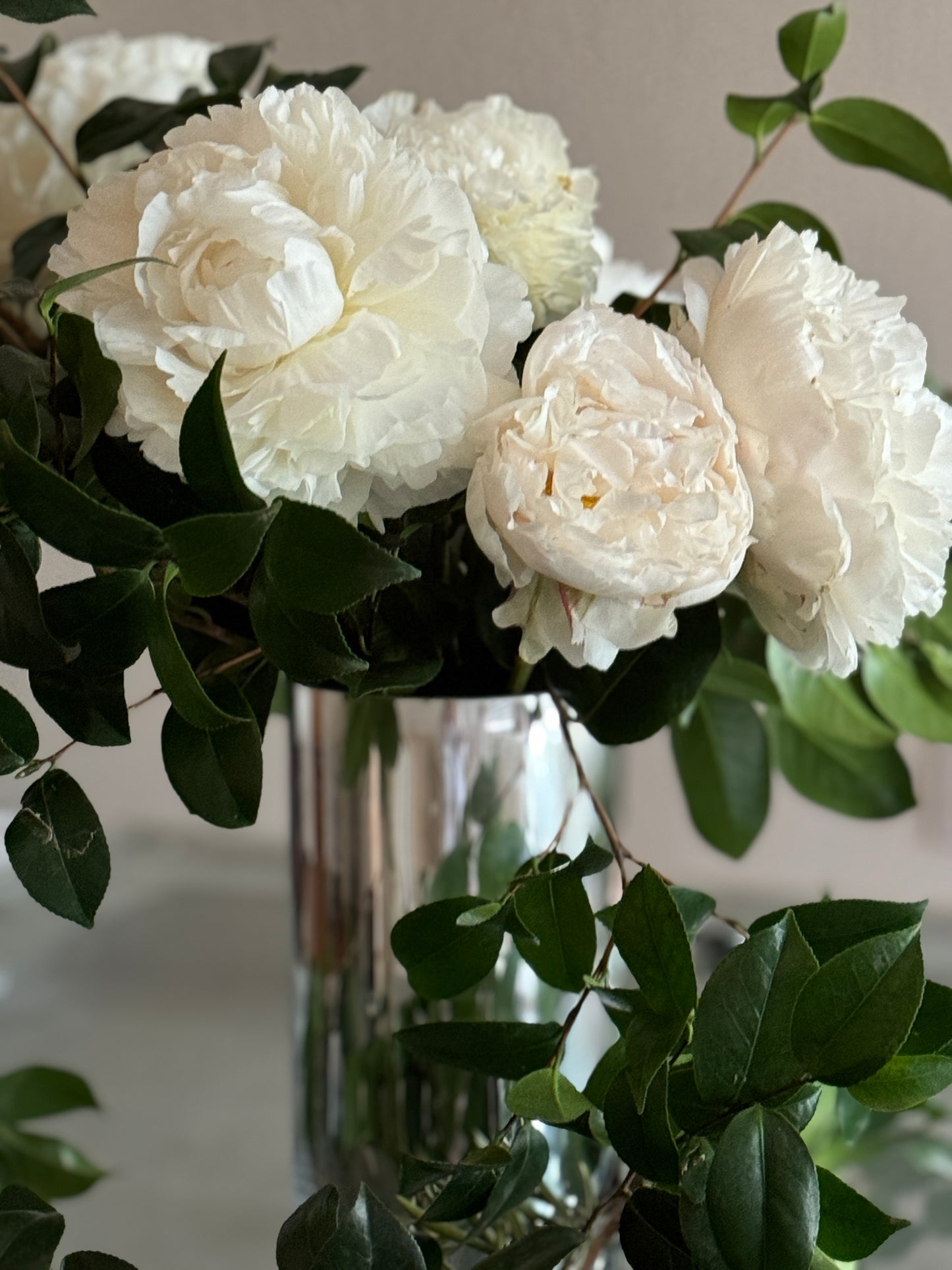 Winter Peony Vine & Bloom Box