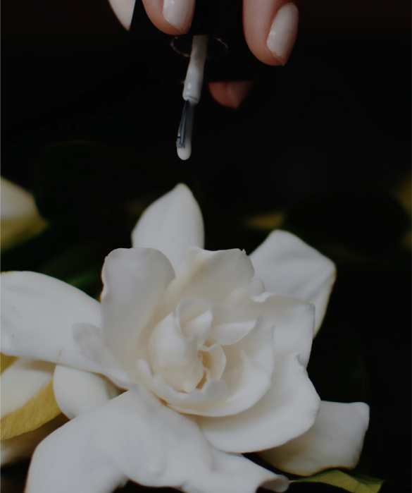 ITALIAN HYBRID GEL NAIL DUO