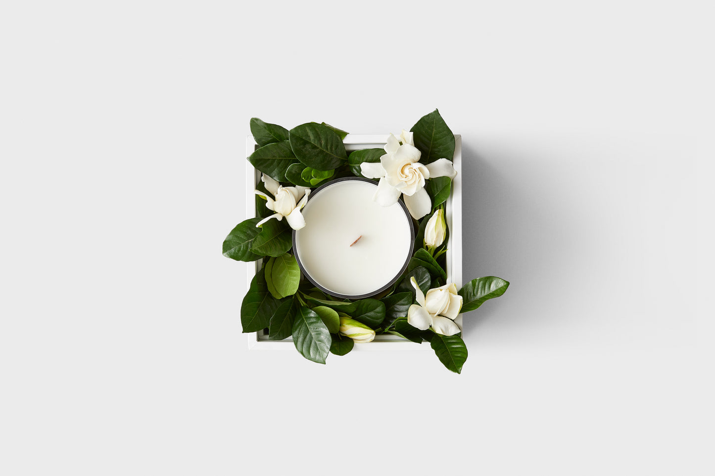 The Siren Vine & Bloom Candle Box