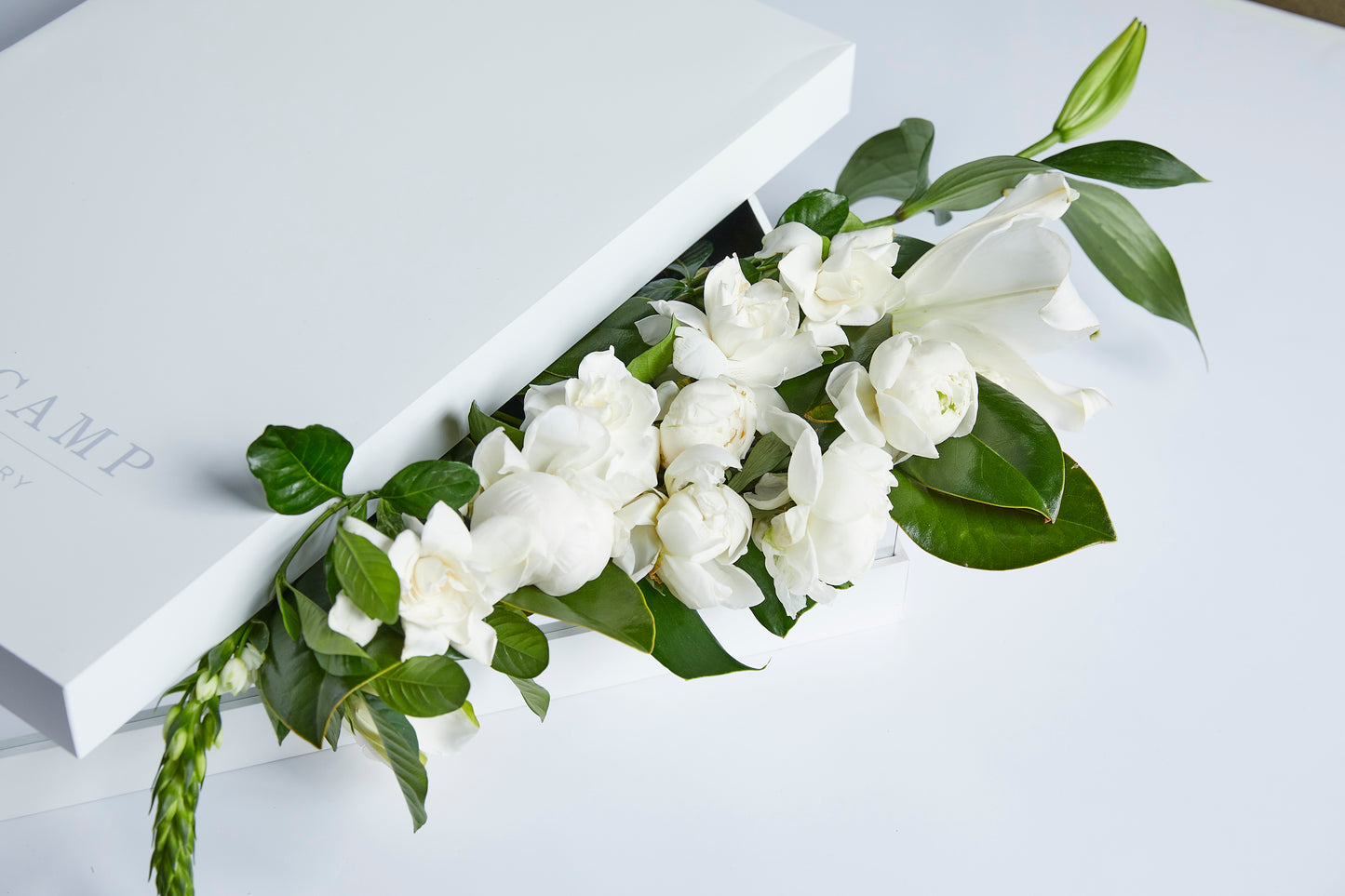 Roman Holiday Studio Grande Vine & Bloom Box