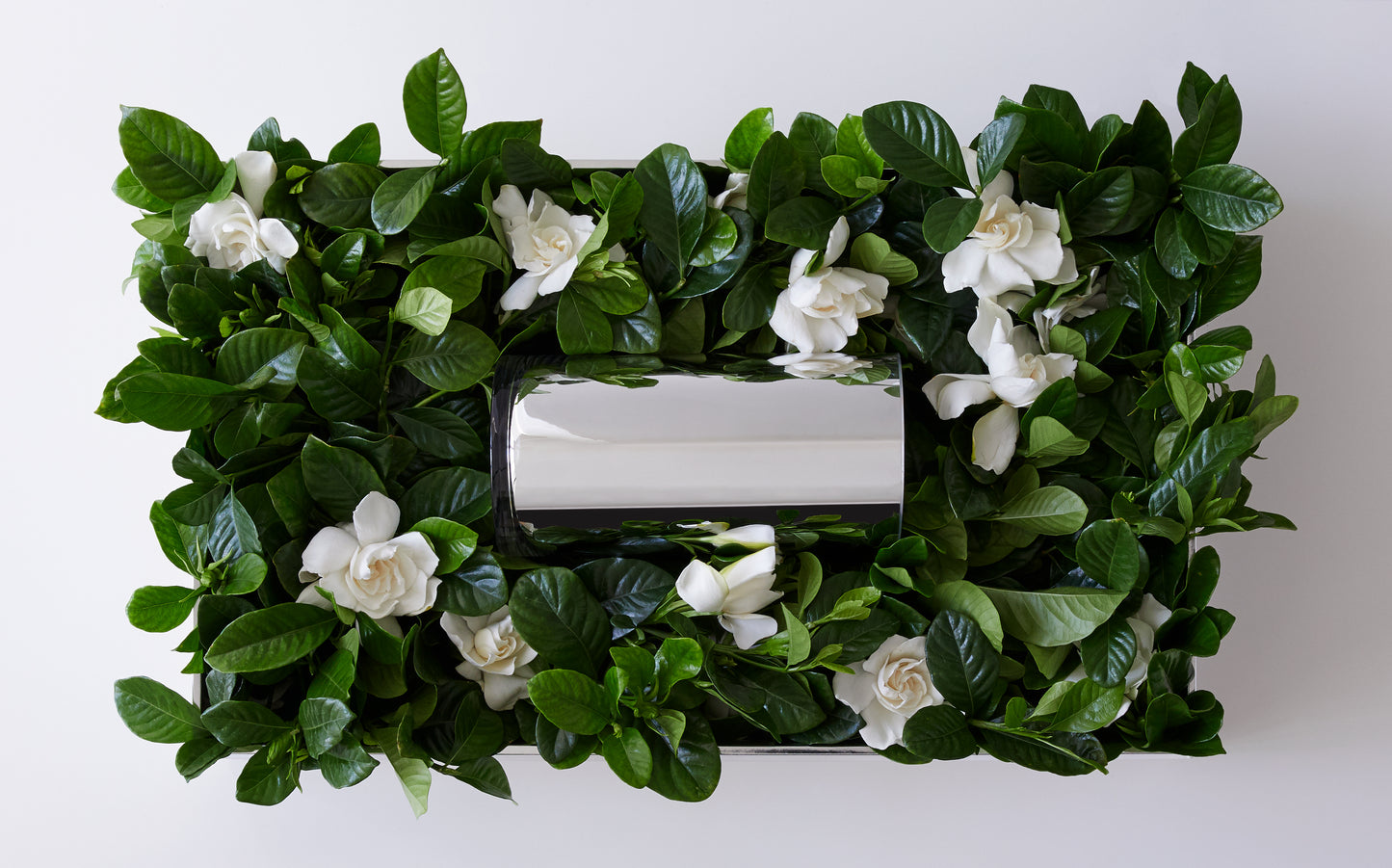 ICON STUDIO VINE & BLOOM BOX