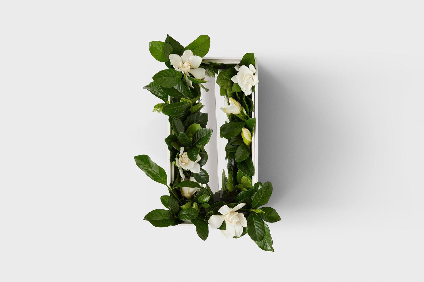 La Dolce Vita Vine & Bloom Candle Box