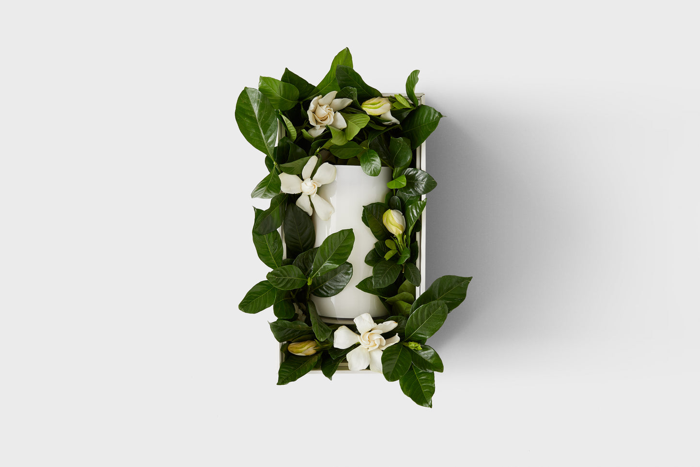 Leading Lady Vine & Bloom Vase Box