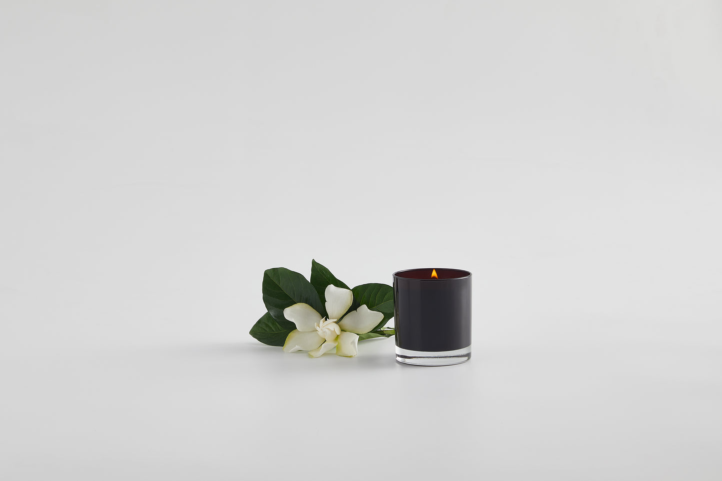 The Coquette Vine & Bloom Candle Box