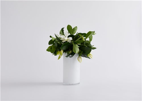 SIGNATURE HIGH CAMP VASE