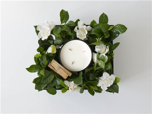 GRANDE WIDE WICK "CAMPFIRE" VINE & BLOOM BOX