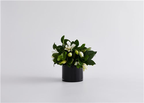 SIGNATURE HIGH CAMP VASE