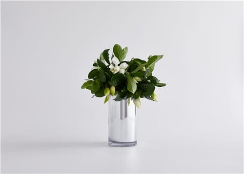 SIGNATURE HIGH CAMP VASE