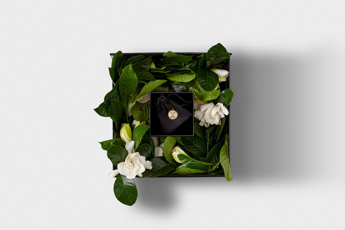 High Camp x Kim Dunham Labyrinth Vine & Bloom Black Box