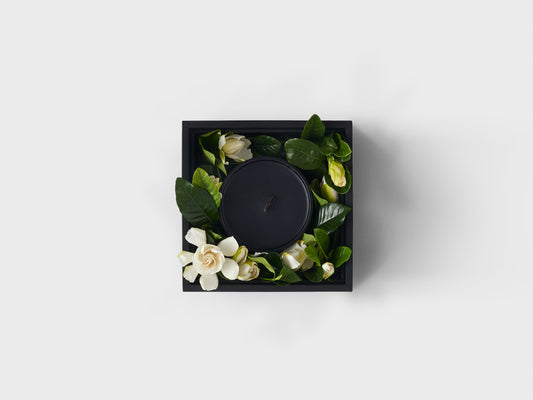 The Siren Vine & Bloom Candle Box