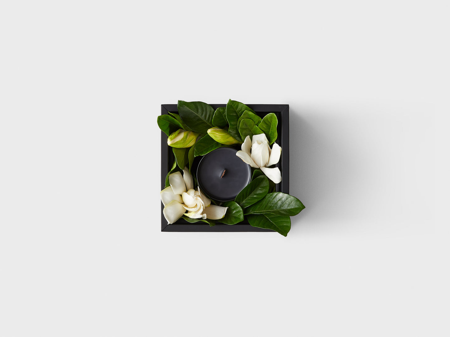 The Coquette Vine & Bloom Candle Box