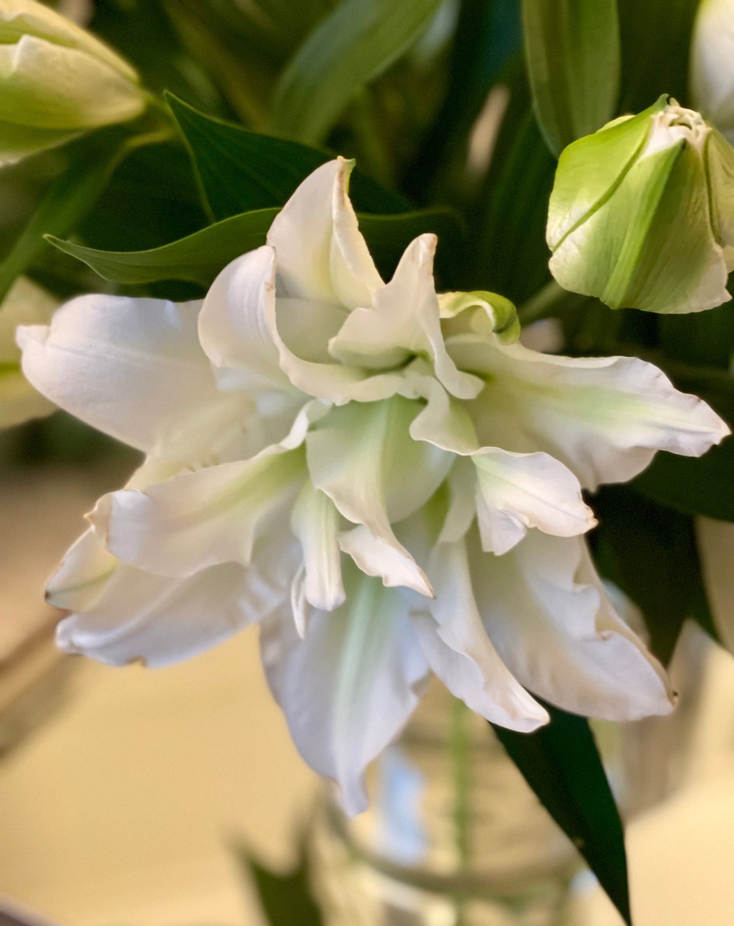 Grande Blanc Vine & Bloom Box