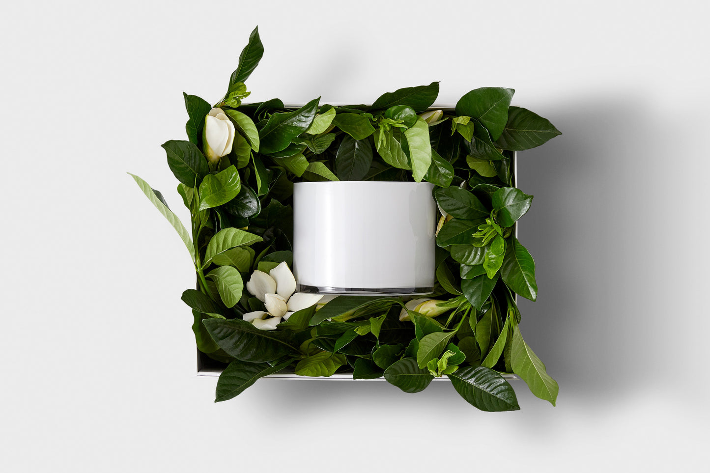ICON VINE & BLOOM BOX