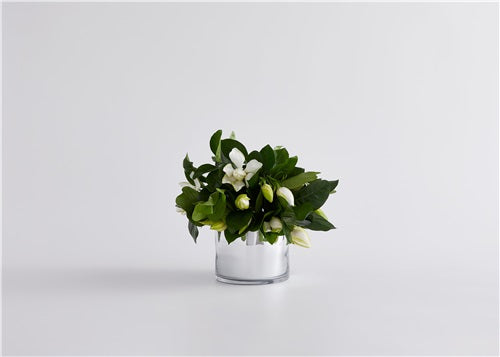 SIGNATURE HIGH CAMP VASE