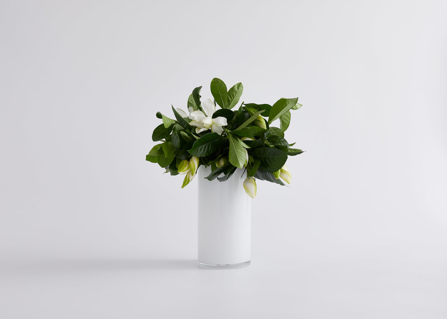 Leading Lady Vine & Bloom Vase Box