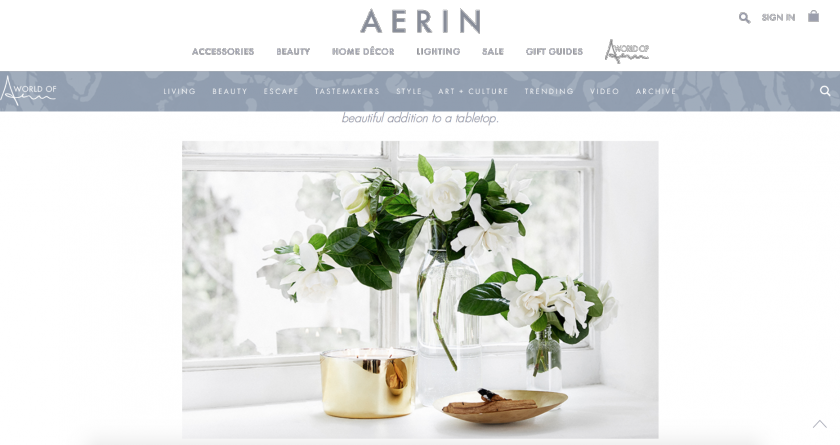 HIGH CAMP SUPPLY FEATURED ON WORLD OF AERIN