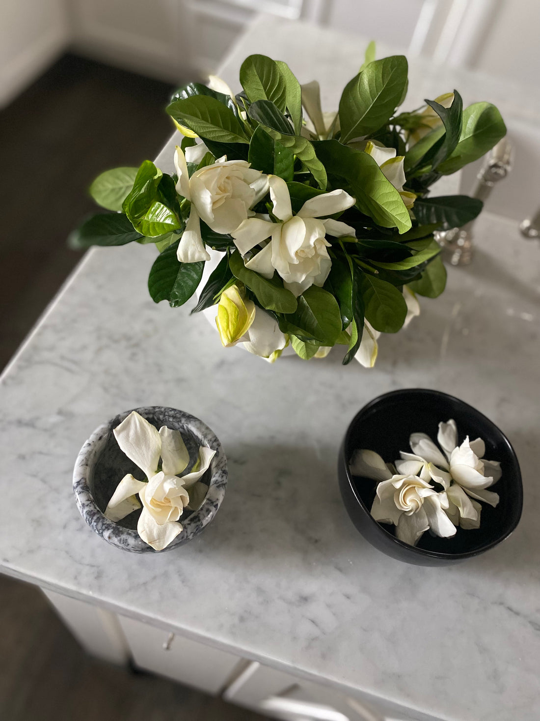 beautiful gardenia arrangement in vase and bowls