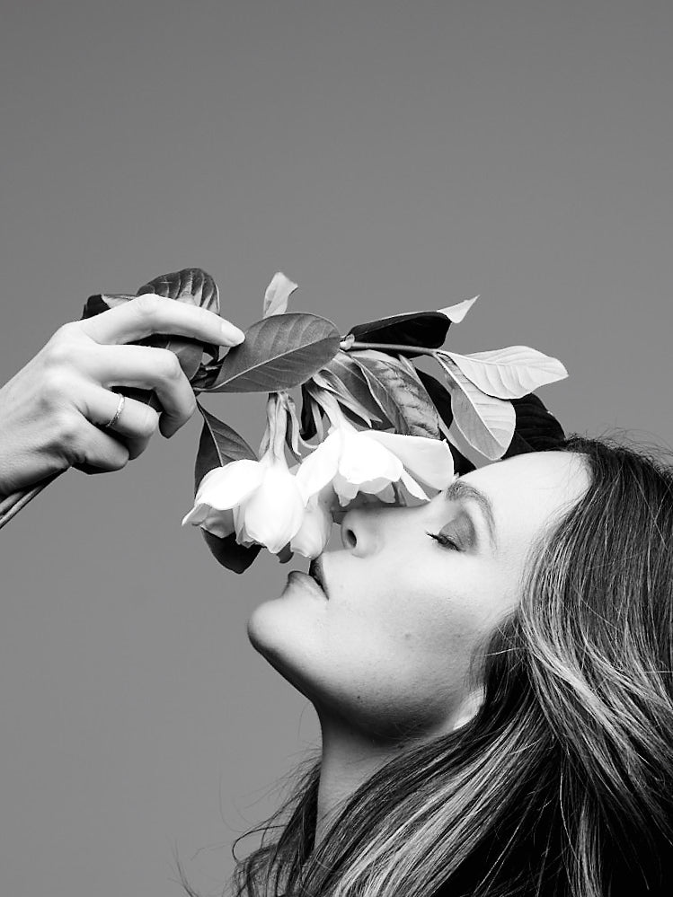 A Gardenia Care Guide How to Care for Fresh Cut Gardenias High Camp