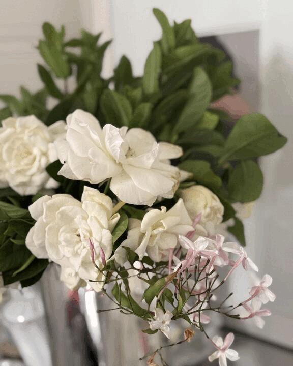 SPEAKING IN FLOWERS