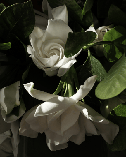 WHAT IS EPHEMERAL LUXURY?