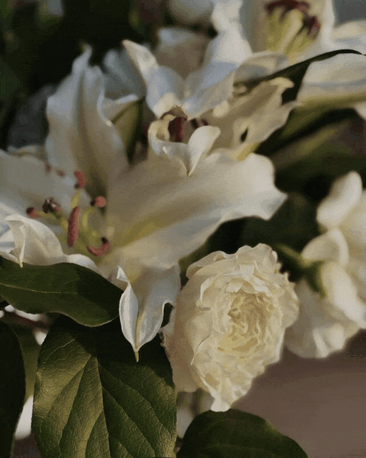 GIFTS FROM THE GARDEN