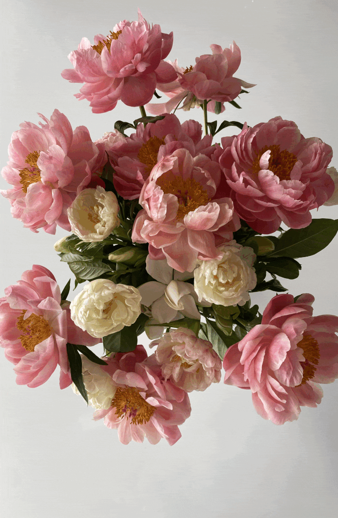 THE JOY OF PEONY SEASON
