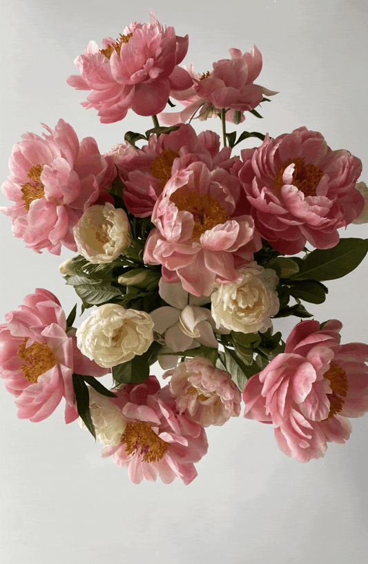 THE JOY OF PEONY SEASON