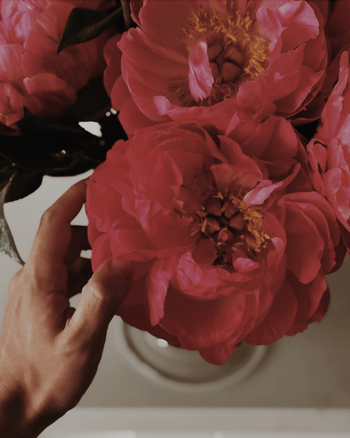 FALL PEONIES