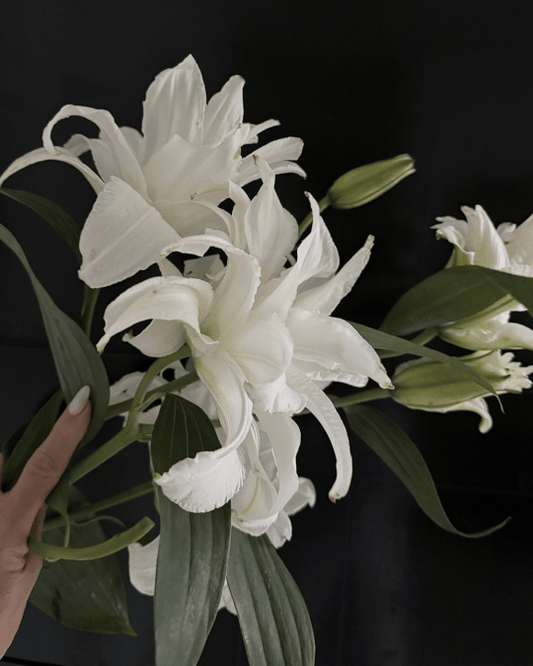 STARS, BIRDS, BABES AND SAGES