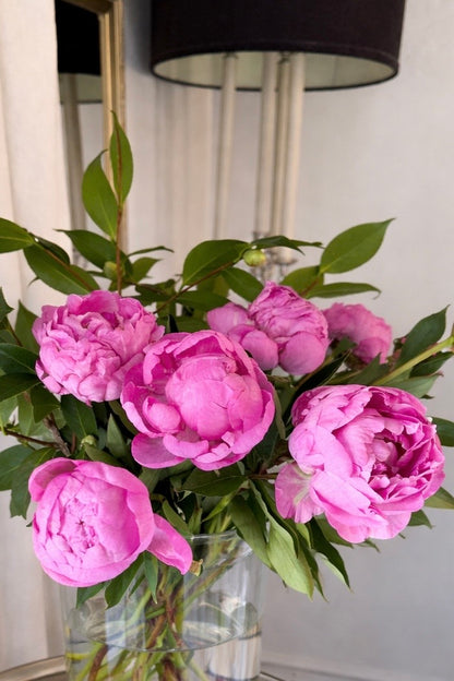 Winter Peony Vine & Bloom Box
