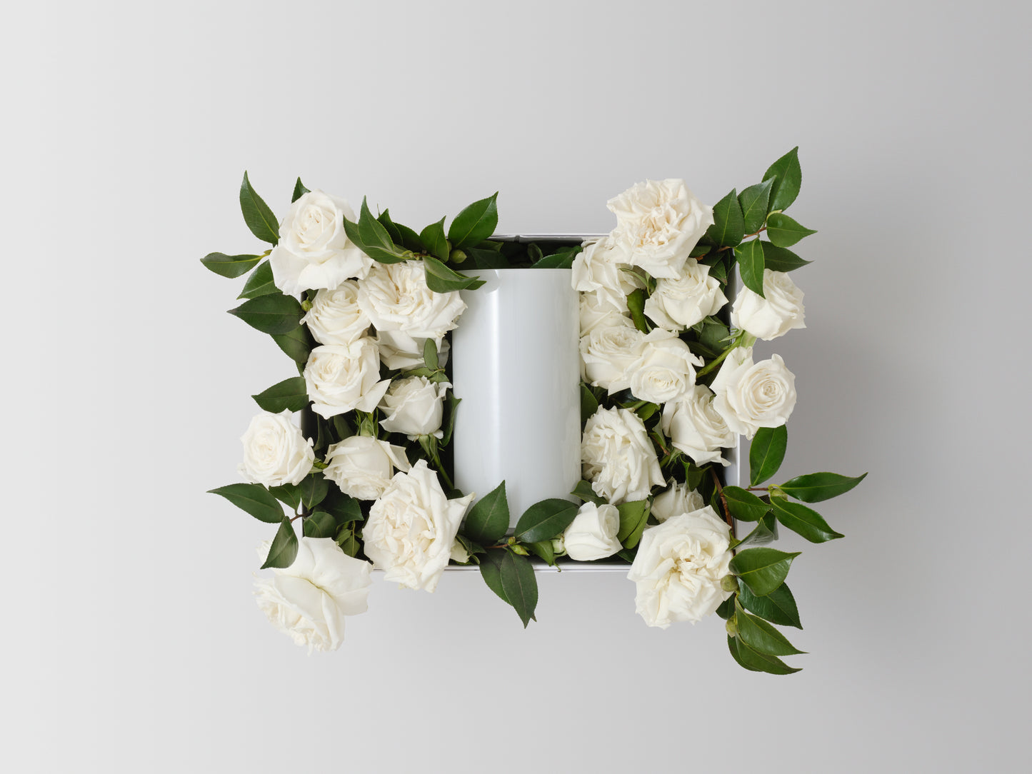 Blanc de Blanc Icon Vine and Bloom