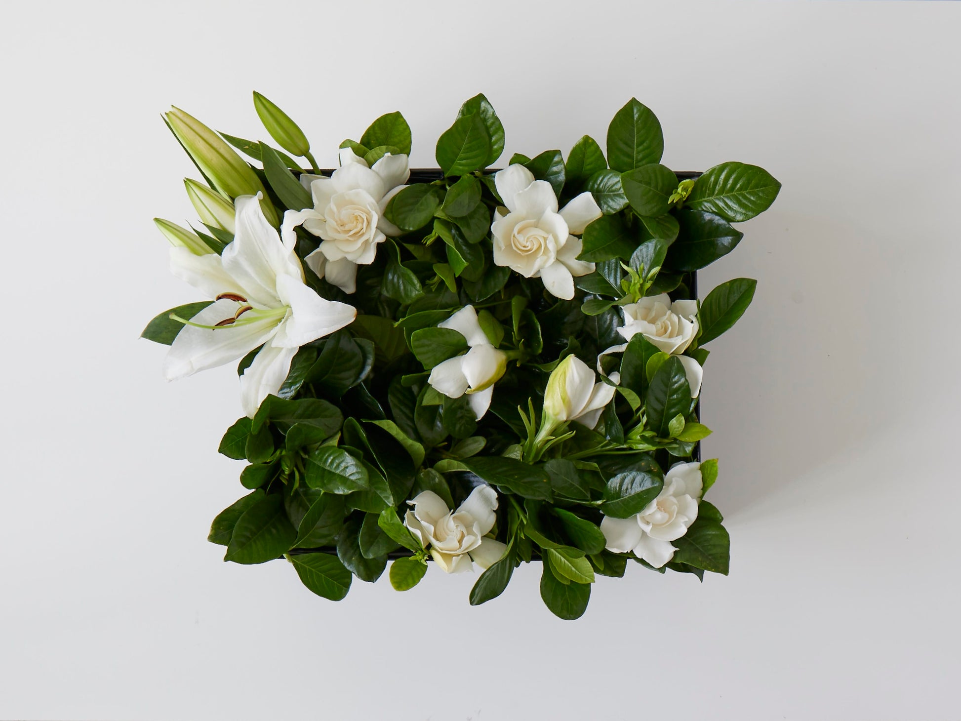 lily flower gift Casablanca Cut-to-Order Lily and Gardenia Delivery Luxury Gift Box White
