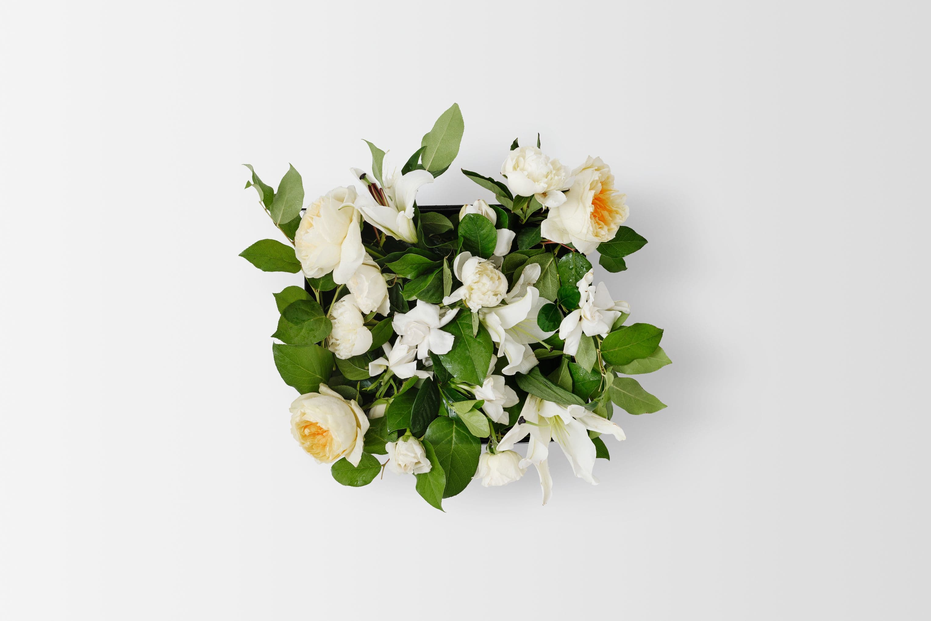 フランシュリッペ 大きめ yukiemonフラワー Flower FL5 Fleur Du Jour Mixed Seasonal Florals Vine & Bloom Gift Box – High