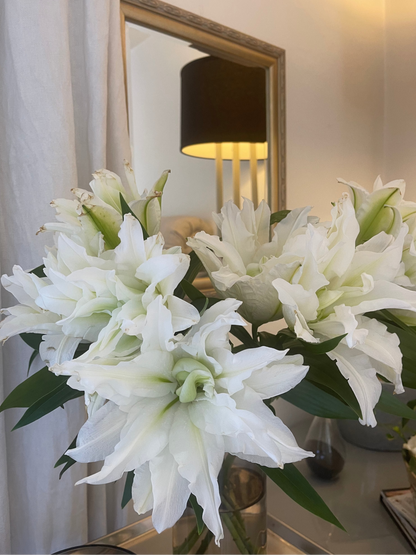 Winter Lily Icon Vine and Bloom